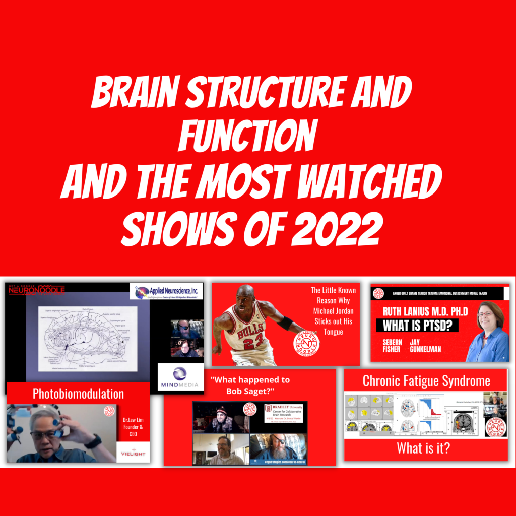 Brain Structure And Function And The Most Watched Shows Of 2022